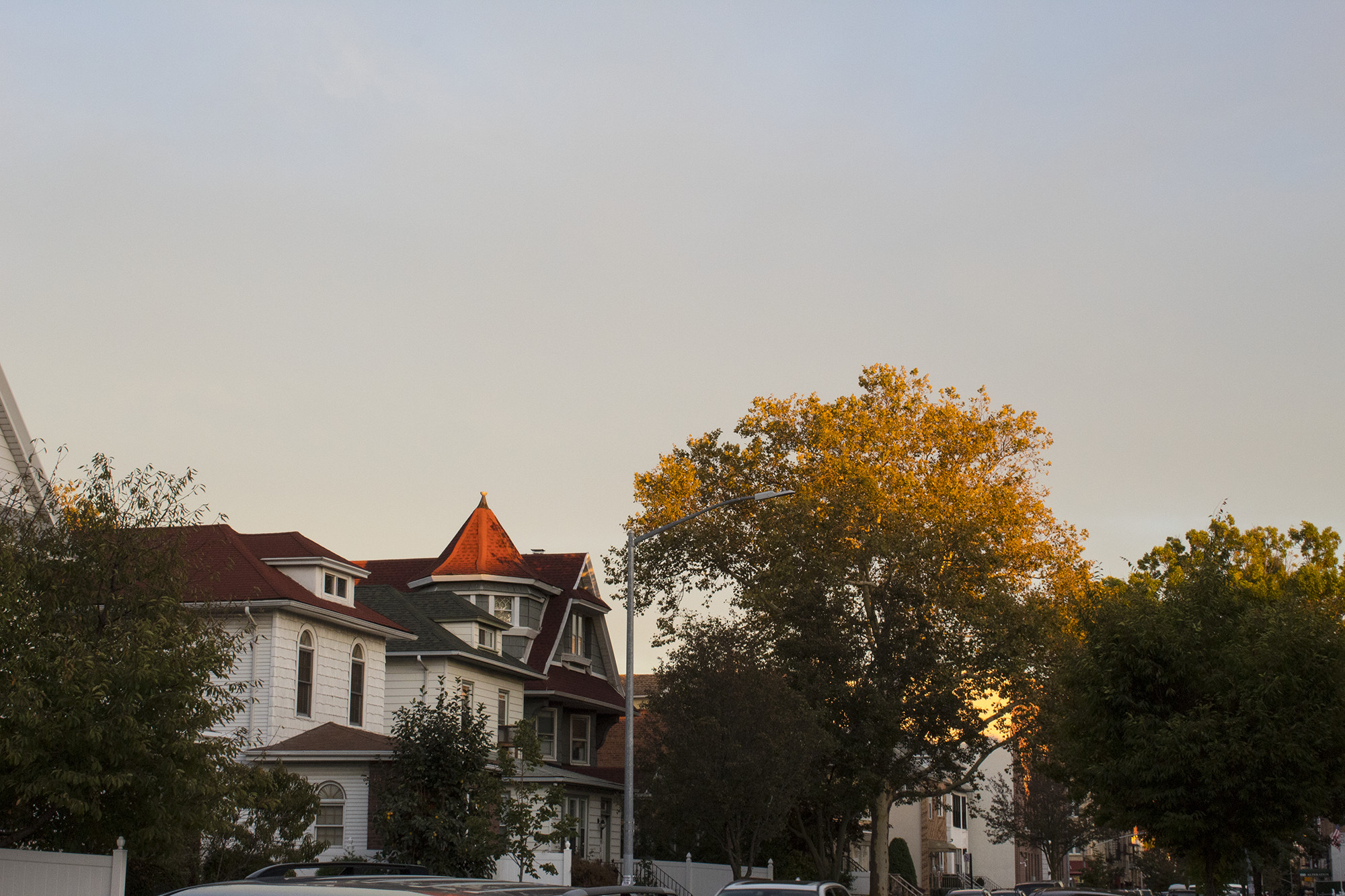 autumn scene with yellow leaved trees and house poking through