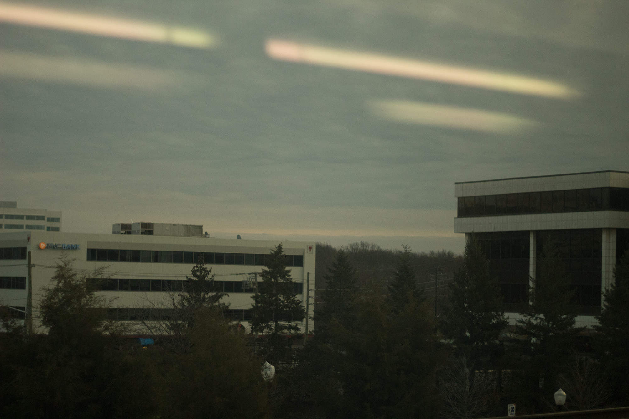 white buildings in the middle of trees with grey sky