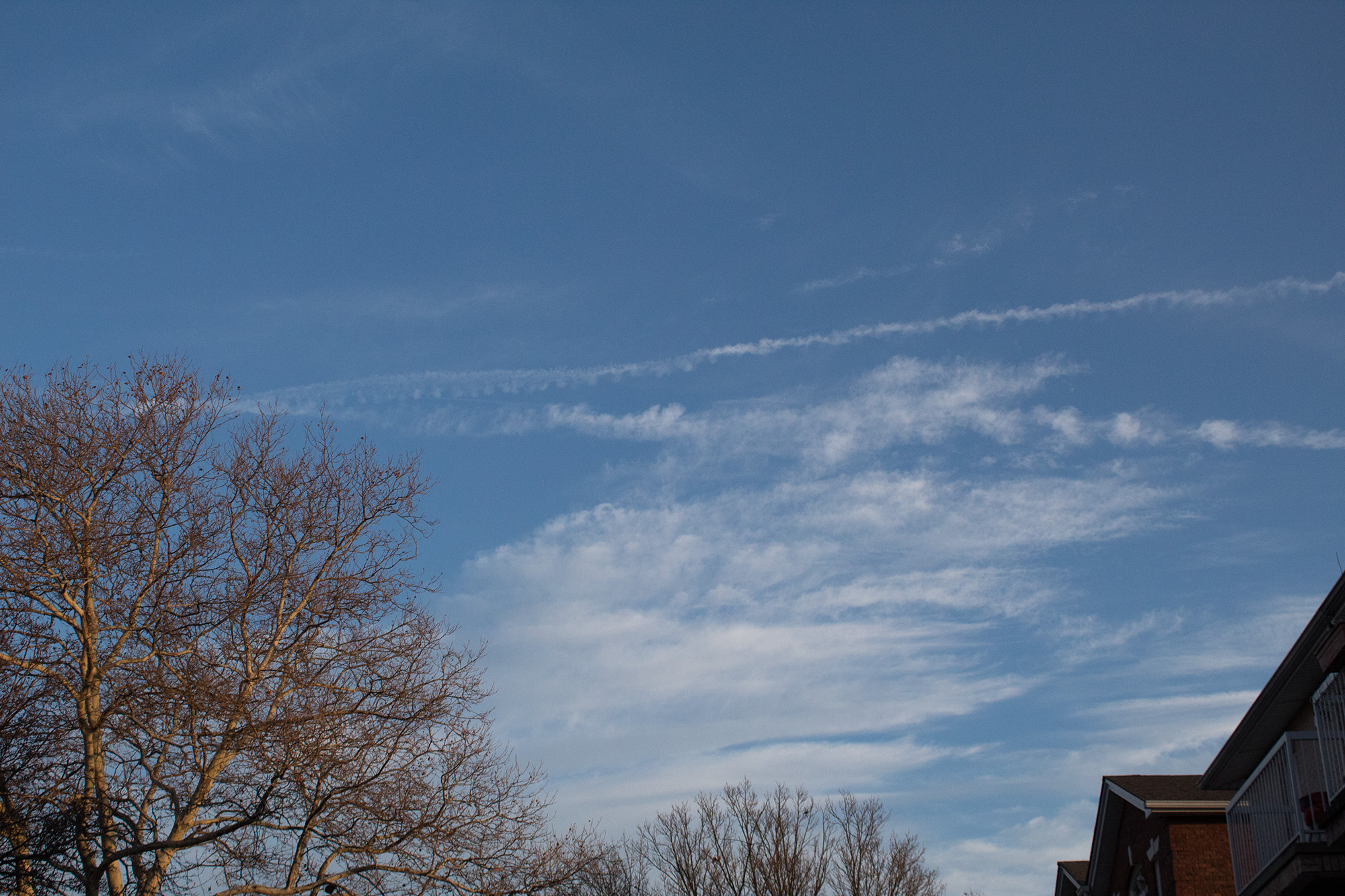 sky with clouds and plane trail, tree tops at the bottom